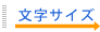 文字サイズ